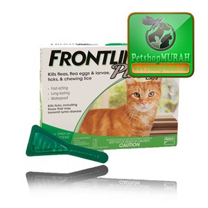 Obat Kutu Kucing Frontline Cat Plus Per-Pipet