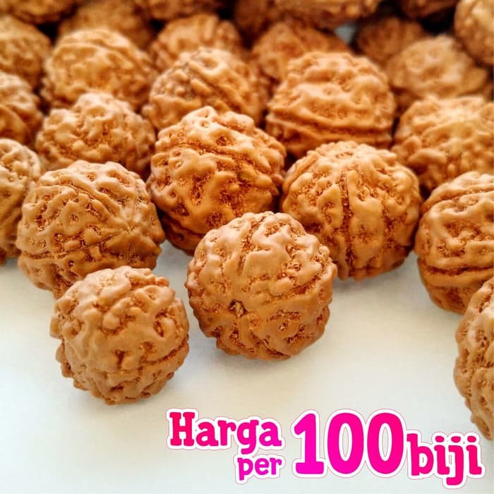 Genitri Jenitri Rudraksha Muki Mukhi 5 SOSO Blitar - 100 biji 13-17 mm