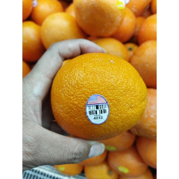 

jeruk navel USA jumbo | 1 kg