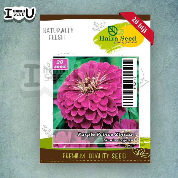 Haira Seed Bibit-Biji Bunga Zinnia Ungu-Purple Prince