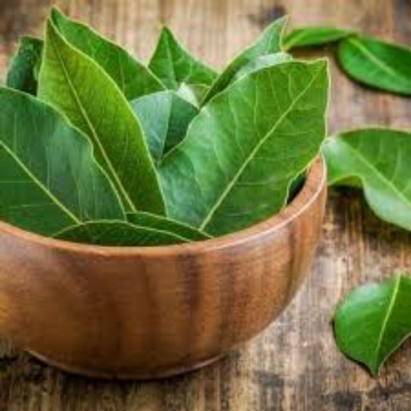 

Daun Salam segar Bumbu Dapur Masak langsung dari kebun 25 gr , 50 gr ready