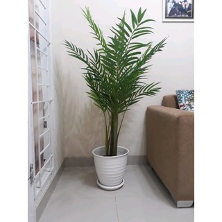  Pot  Bunga  Plastik Putih Tawon  Tirus Pirus 18  Cm  Shopee 