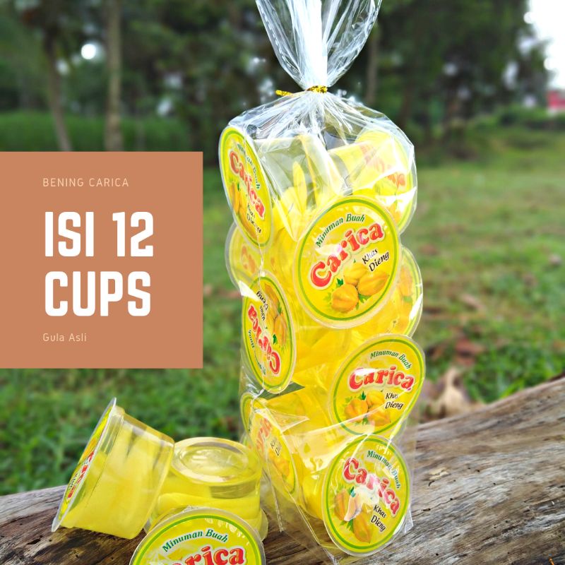 

Carica Khas Dieng 70 gr GULA ASLI - Oleh Oleh Khas Dieng