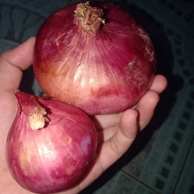 

Bawang merah