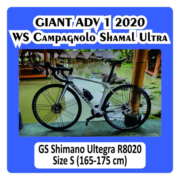 Roadbike Giant ADV 1 2020 Grupset Ultegra R8020 Discbrake Crank 50 34 Sproket 11 34 Shimano Wheelset