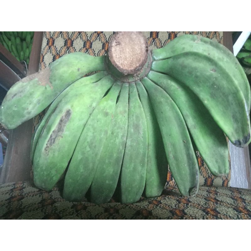 

pisang kepok tengahan