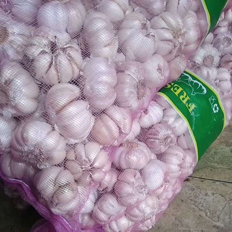 

bawang putih