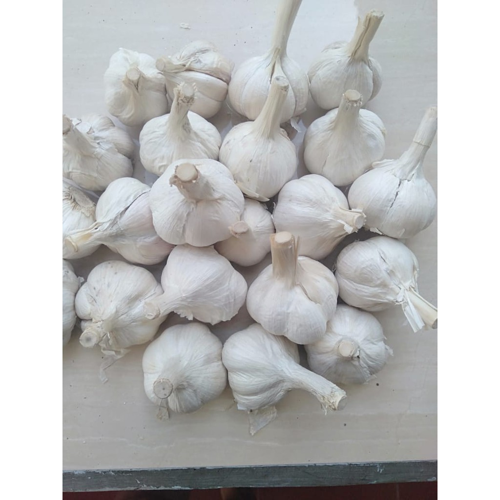 

Bawang Putih Sico/Sinco