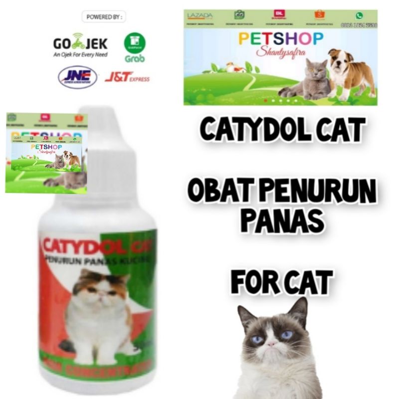 CATYDOLL OBAT PANAS KUCING / PENURUN PANAS KUCING