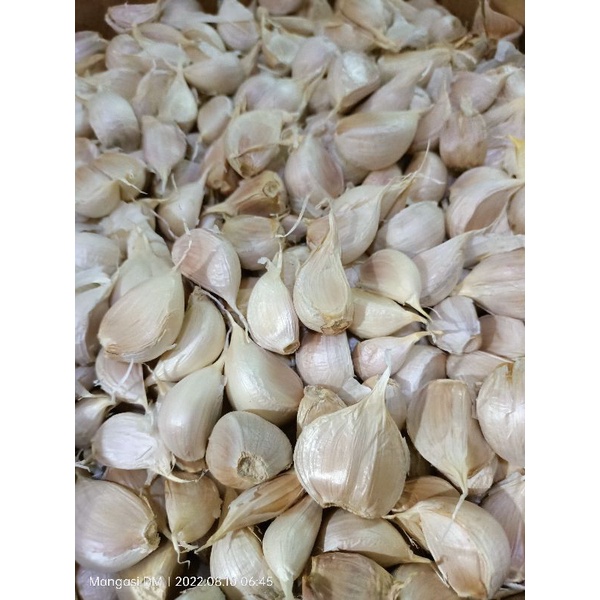 BAWANG PUTIH KATING BERSIH 1 KG