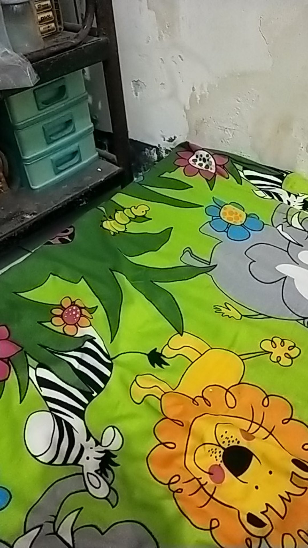 100 Mika Gelombang + 12 Cetakan Kue Talam Puding Telur Telor Ceplok Matasapi Jelly Set Ptc