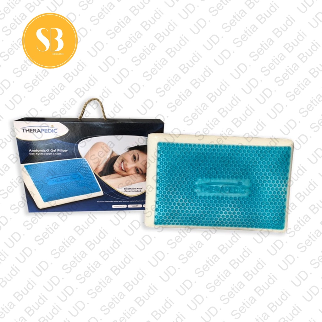 Bantal Therapedic Anatomic X Gel Extra Firm Memory Foam