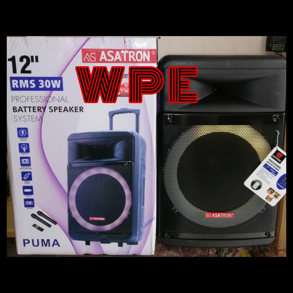 Speaker Portable Meeting Wireless Asatron Puma 12 inch
