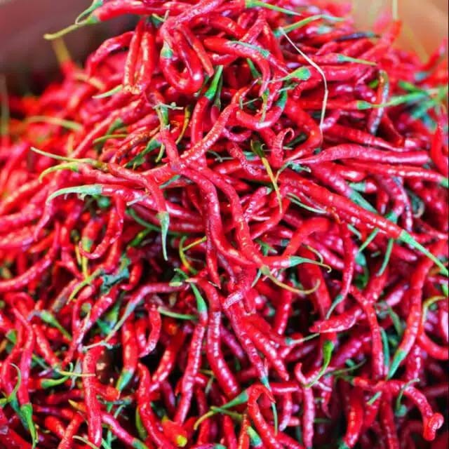 

Cabe Merah Keriting 250Gram Rasyifa