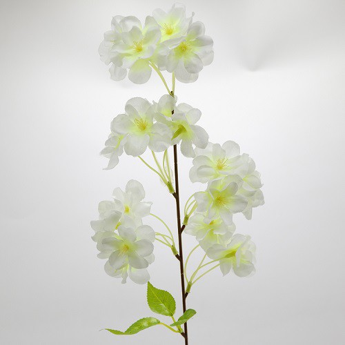 WANFlower Bunga Sakura Mini P65Cm X1 * BROKEN WHITE