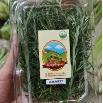

rosemerri fresh