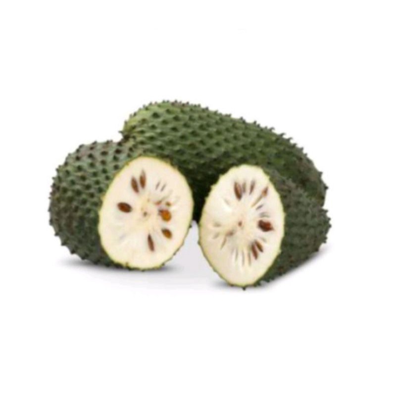 

Buah Sirsak matang mengkal manis