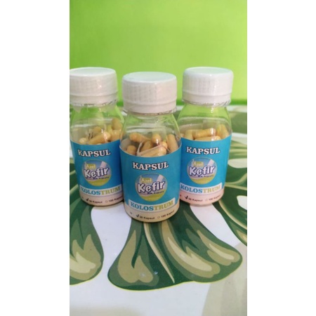 KAPSUL KEFIR KOLOSTRUM P1 isi 50 kapsul