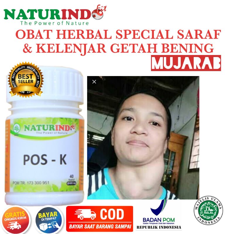 OBAT GONDOK DAN KELENJAR GETAH BENING HERBAL ALAMI