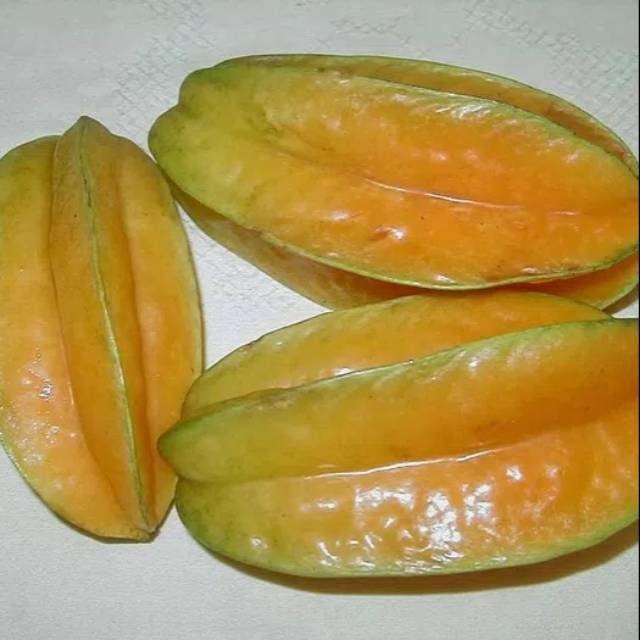 

BUAH BLIBIMBING MANIS