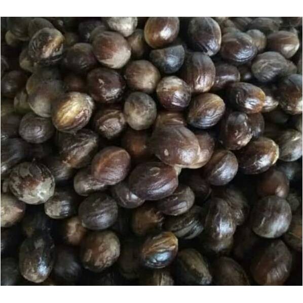 

Rempah Rempah BUAH PALA ( @ 250 Gram )