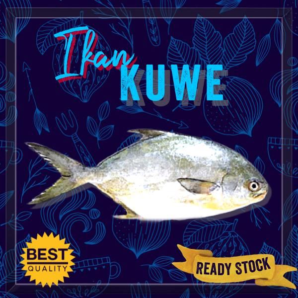 

IKAN KUWE BULAT SEGAR PER 500 Gr