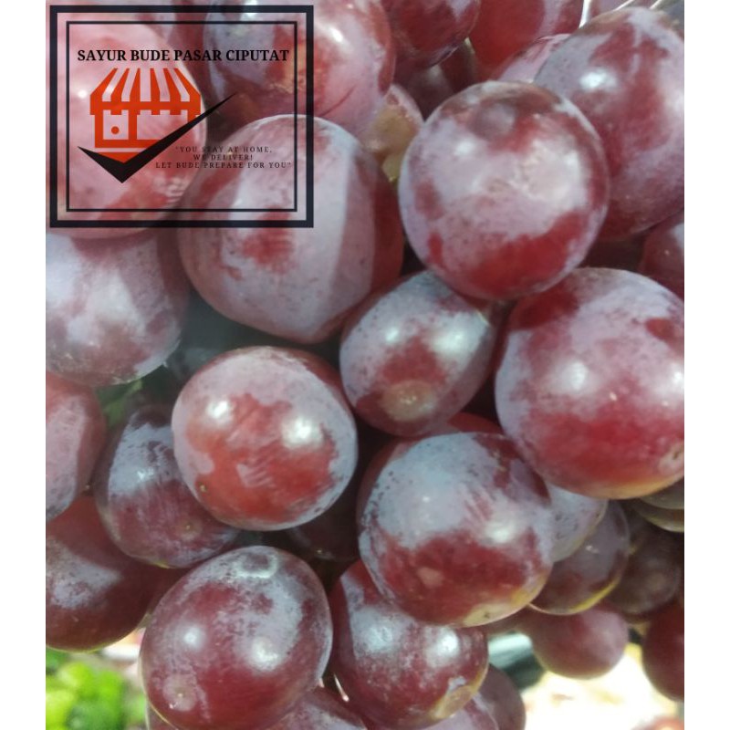 

Anggur Red Globe