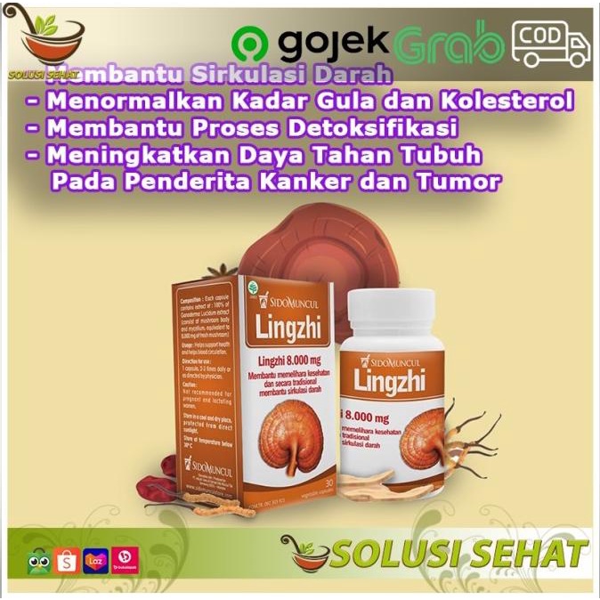 

TERBARU Obat Herbal Jamur Lingzhi Sidomuncul Detoksifikasi - Daya Tahan Tubuh /OBAT HERBAL ASAM URAT/OBAT HERBAL PELANGSING/OBAT HERBAL KOLESTEROL/OBAT HERBAL DIABETES