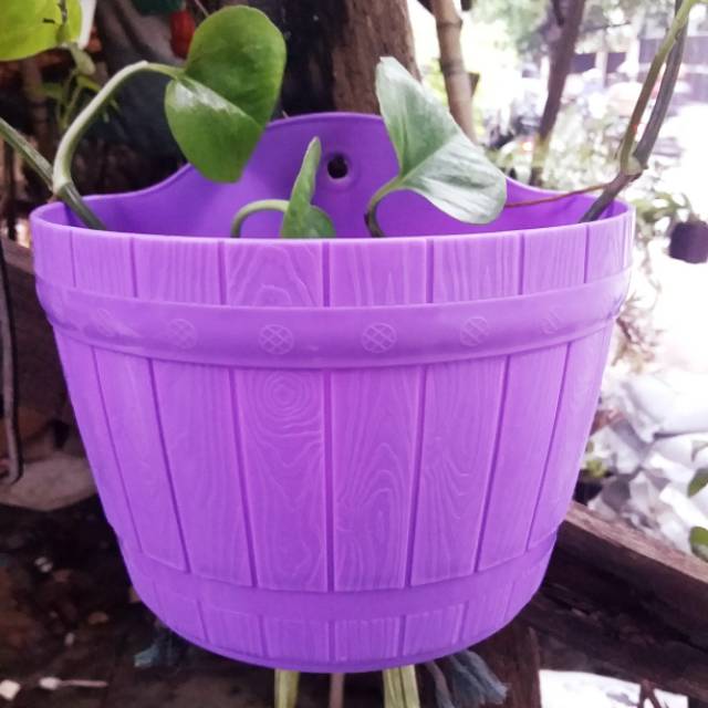 Pot tanaman bunga tempel dinding gentong 22 Shopee Indonesia Pot tanaman bunga tempel dinding gentong 22 Shopee Indonesia