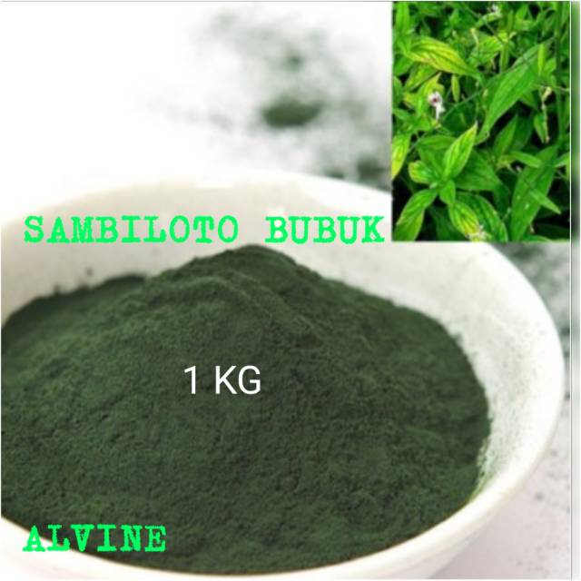 

Bubuk-Serbuk Sambiloto Murni Tanpa Campuran 1kg