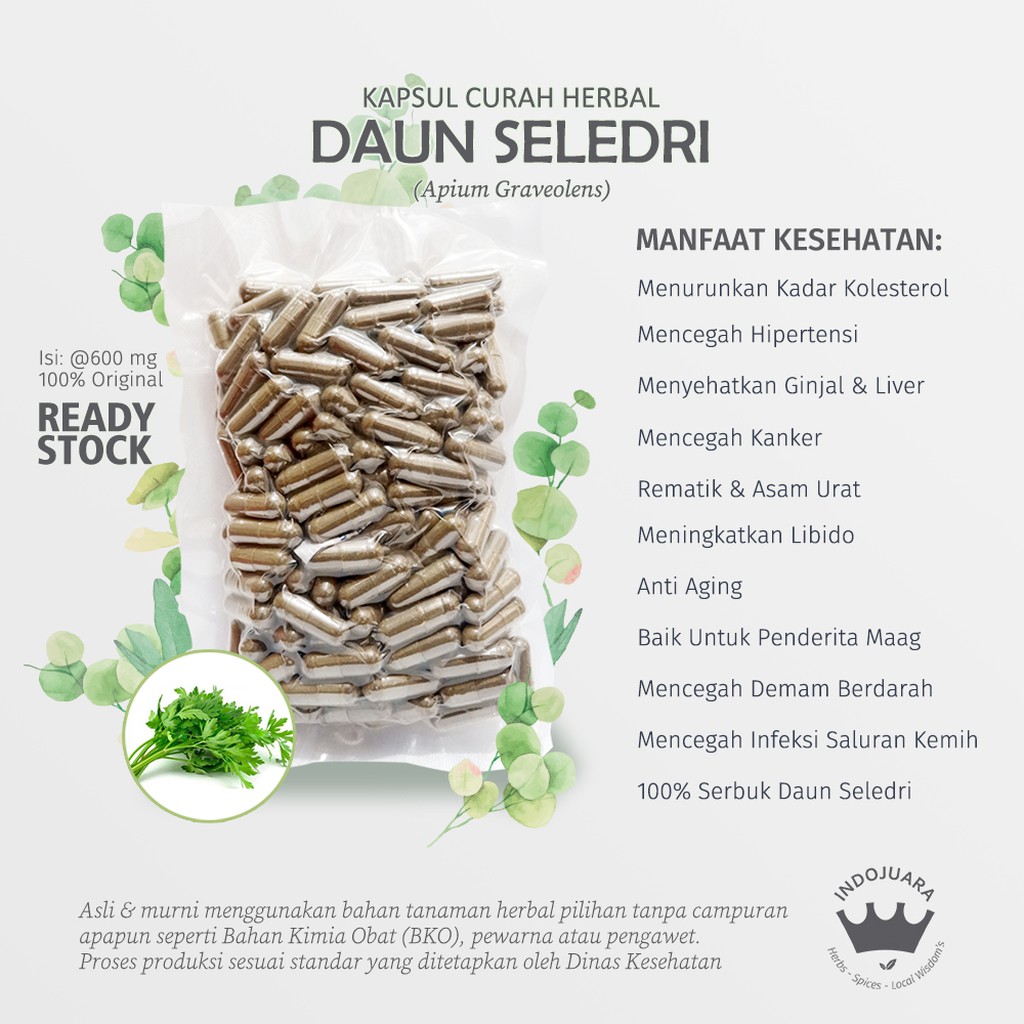 

DAUN SELEDRI 100 Kapsul Curah Herbal Kulit Berminyak Kolesterol Hipertensi Libido Anti Aging 600mg