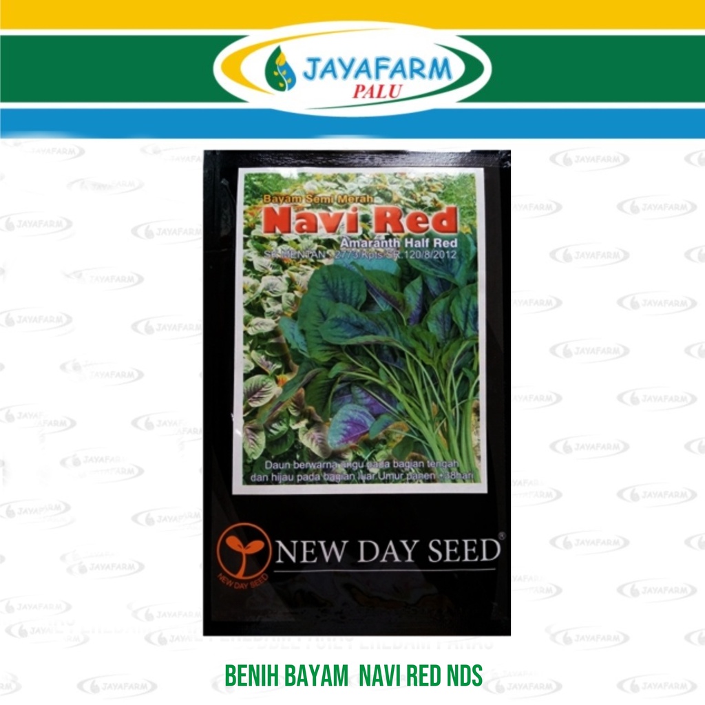 Benih Bayam  NAVI RED ( NDS )