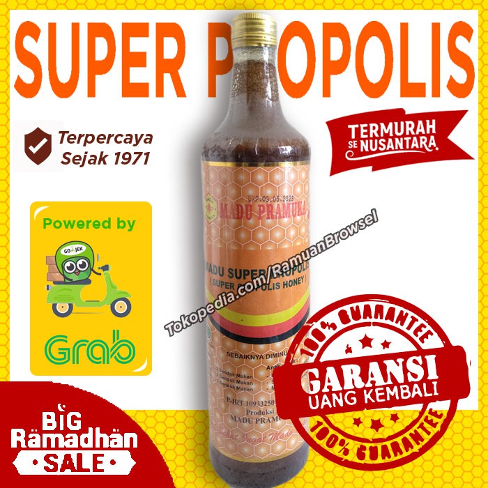

Madu Pramuka Super Propolis 650 ml