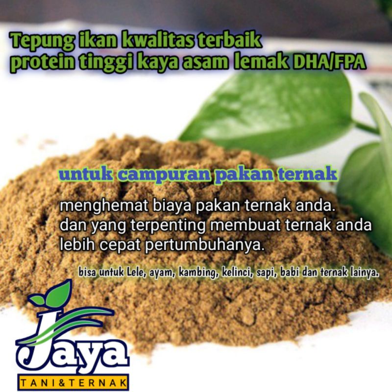 

Tepung ikan protein tinggi