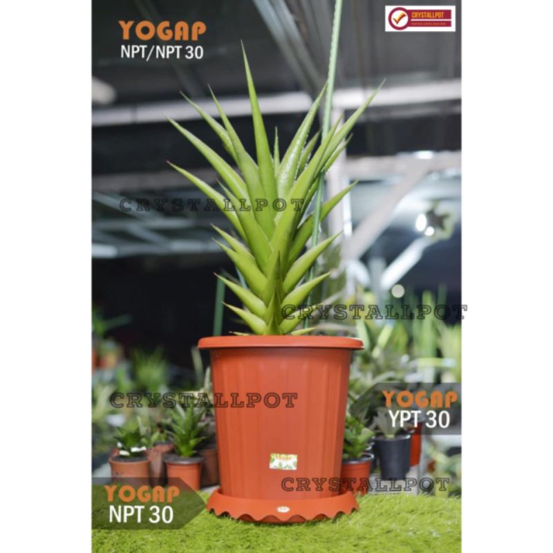 pot bunga tanaman tinggi yogap YPT 30 bahan tebal + tatakan npt 30