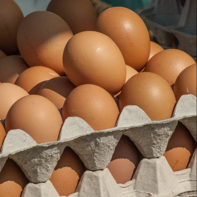 

- CSM - Telur Ayam "" Per Kilo