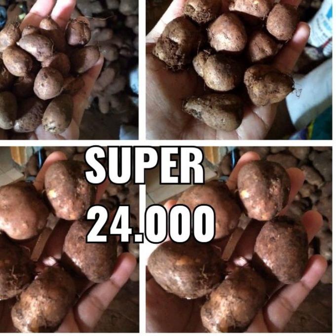 

Paylater KENTANG HITAM SUPER1KG, kentang Hitam, kentang bulu,kleci HOT Product/[Terlaris Today]/【Import Terbaik】/Grosir/「5.5 F⚡ASH SALE」