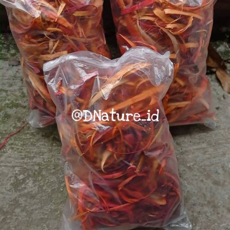 

Kayu Secang Segar