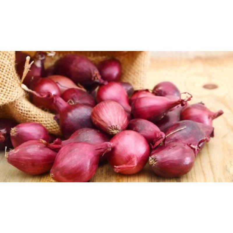 

BAWANG MERAH TERMURAH 500gr
