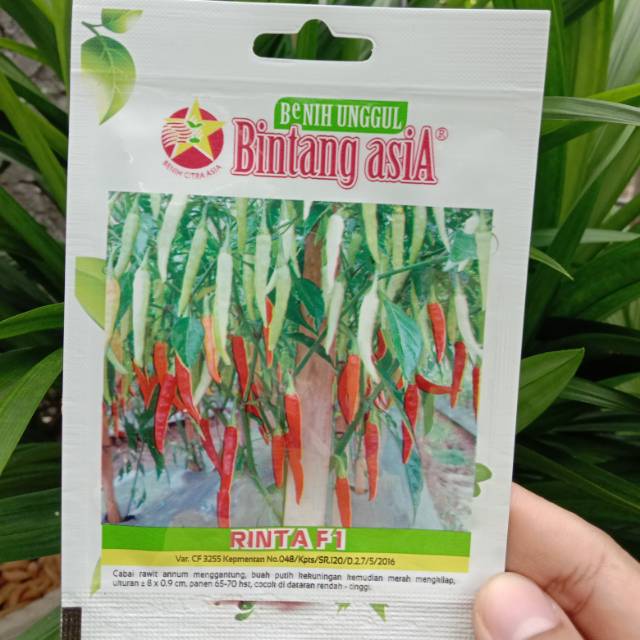 (REPACKING) Benih Cabai Rawit Merah RINTA F1 Bintang Asia isi 10 benih