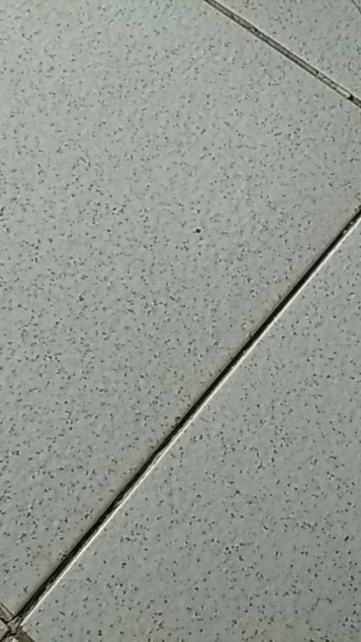 Seprei Print Leopard Putri Diana