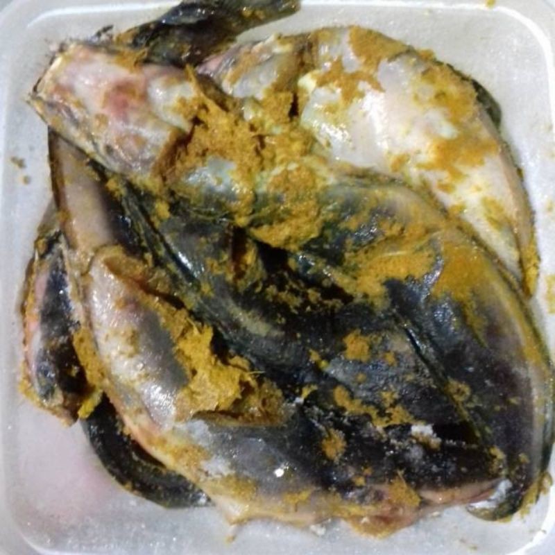 

Ikan Lele Bumbu Siap Goreng isi 4 ekor