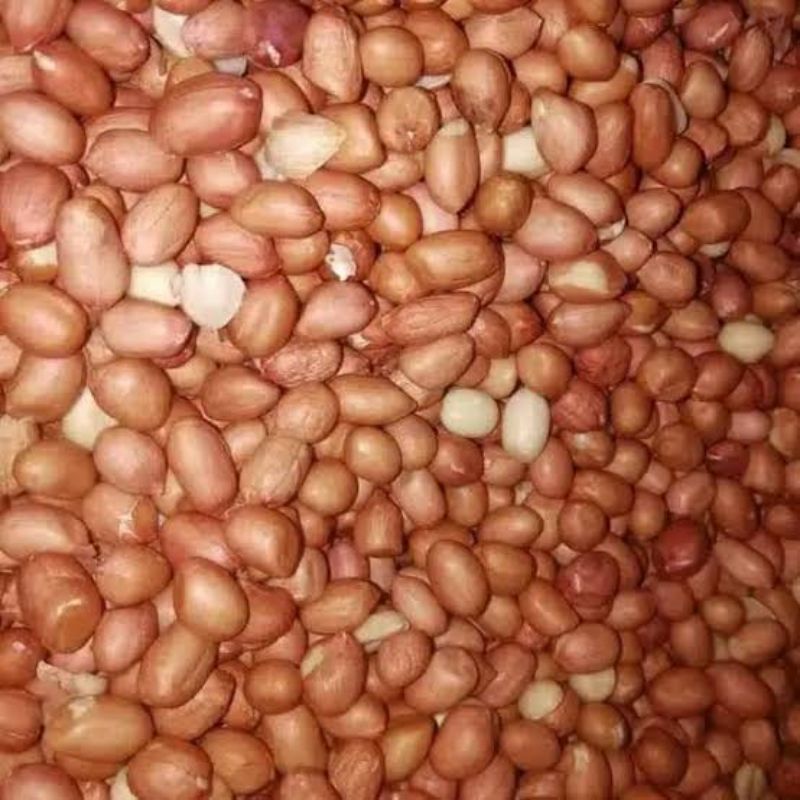 

KACANG TANAH 250gram