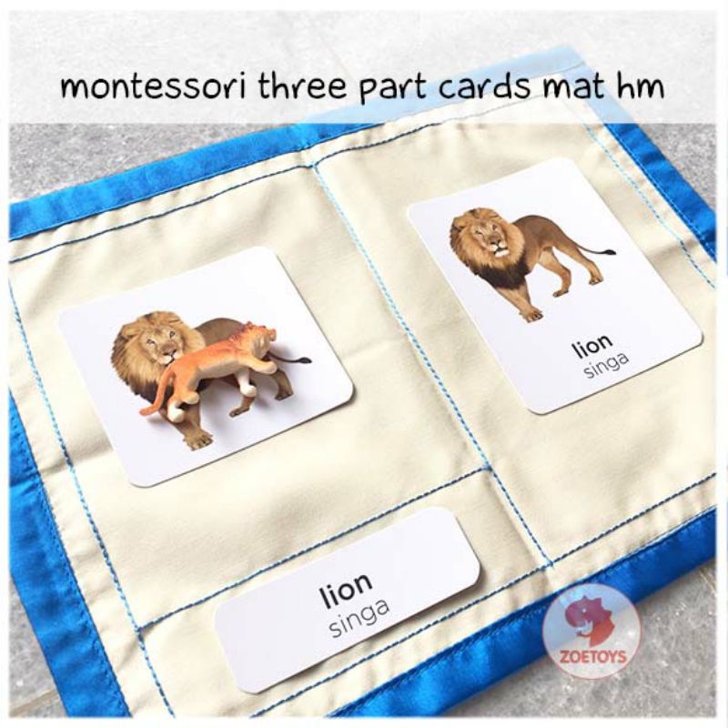 Zoetoys Montessori Three Part Cards Mat Hm | Cultural Science | Language | Mainan Anak | Edutoys