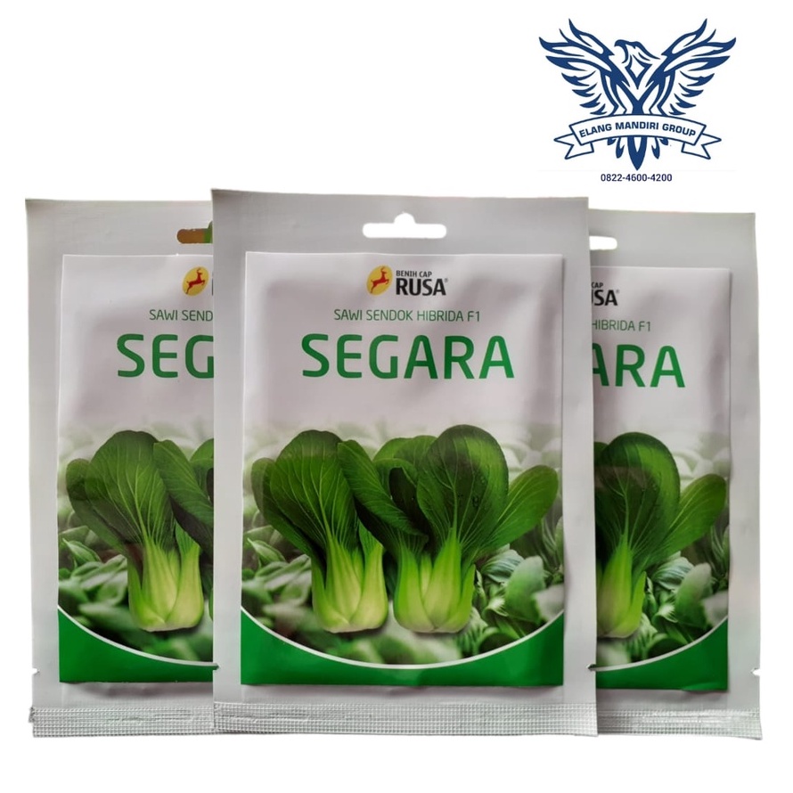 Benih Bibit Pakcoy Segara F1 - 10 Gram Cap Rusa