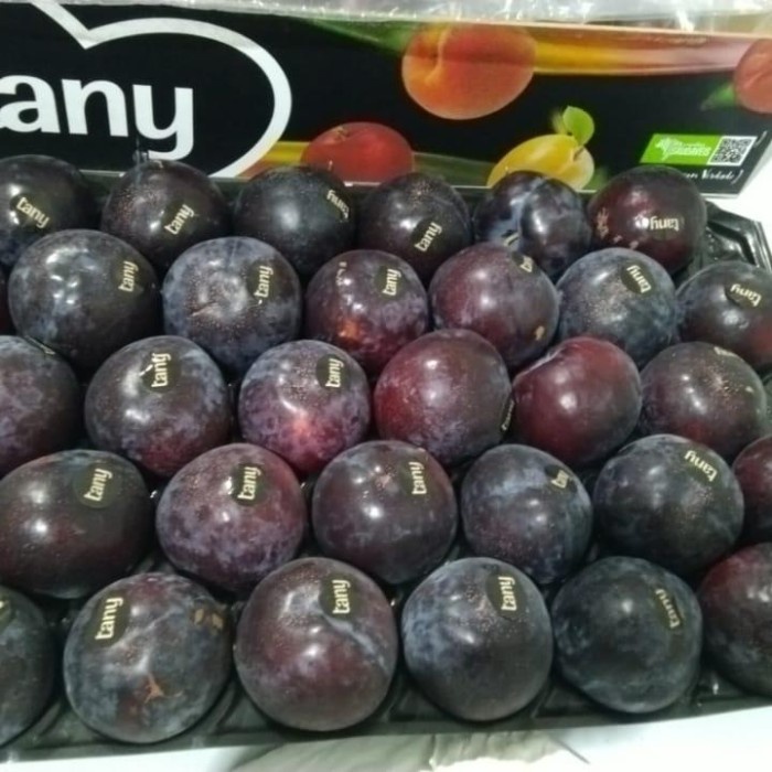 

Plum Spanyol California