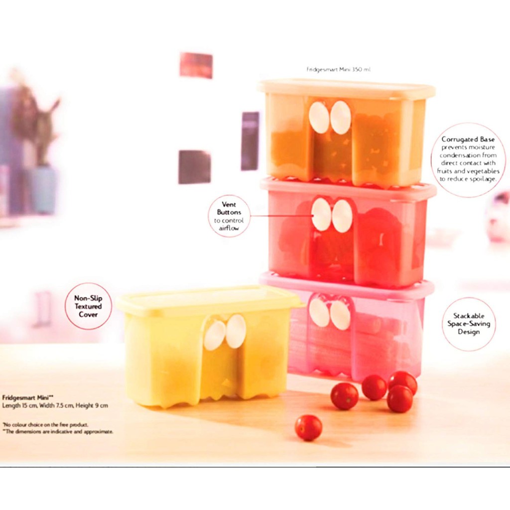 mini fridgesmart ecer 1pc