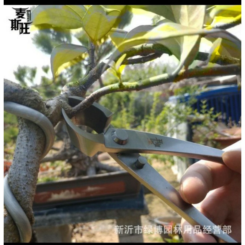 catut bonsai /catok bonsai /alat bonsai gunting bonsai