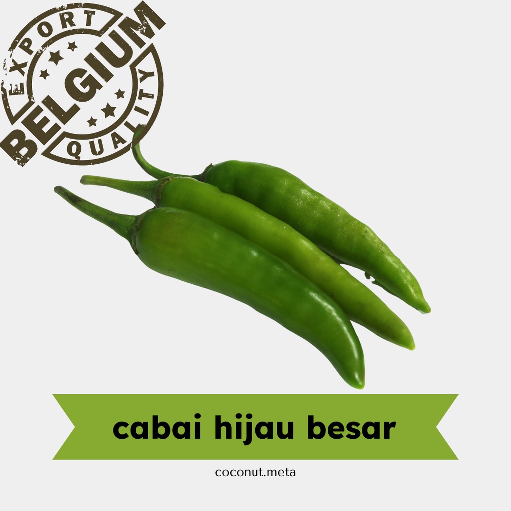 

Cabe Hijau Besar Segar / Cabai Hijau Green Chili by Coconut Meta 100gr