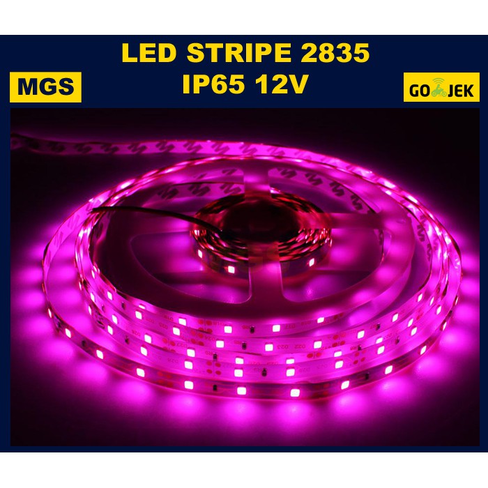 LED Strip 2835 12v - Pink